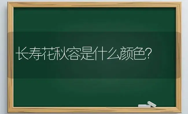 长寿花秋容是什么颜色？ | 多肉养殖