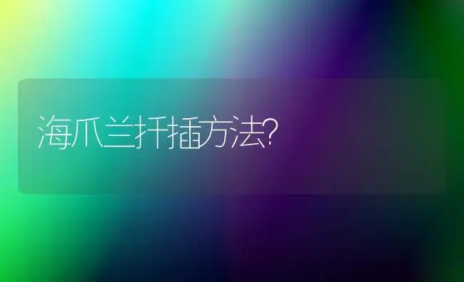 海爪兰扦插方法？ | 多肉养殖