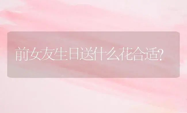 前女友生日送什么花合适？ | 绿植常识