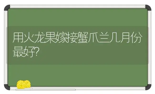 用火龙果嫁接蟹爪兰几月份最好？ | 多肉养殖
