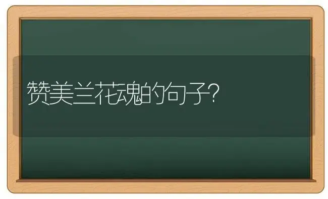 赞美兰花魂的句子？ | 绿植常识