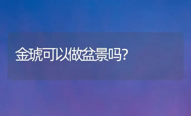 金琥可以做盆景吗？ | 多肉养殖