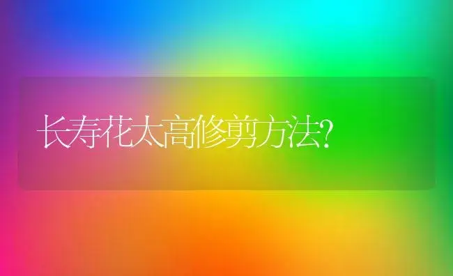 长寿花太高修剪方法？ | 多肉养殖