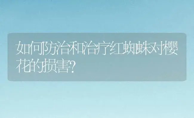 如何防治和治疗红蜘蛛对樱花的损害？ | 家庭养花