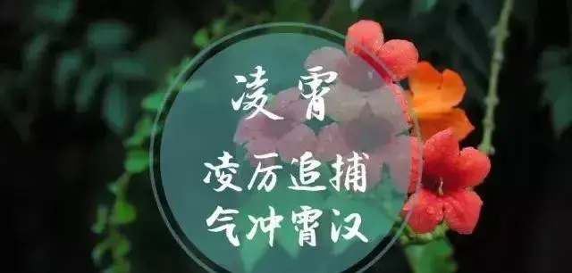 检察花语 检察君，你究竟开的是什么花？