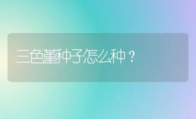 三色堇种子怎么种？ | 家庭养花