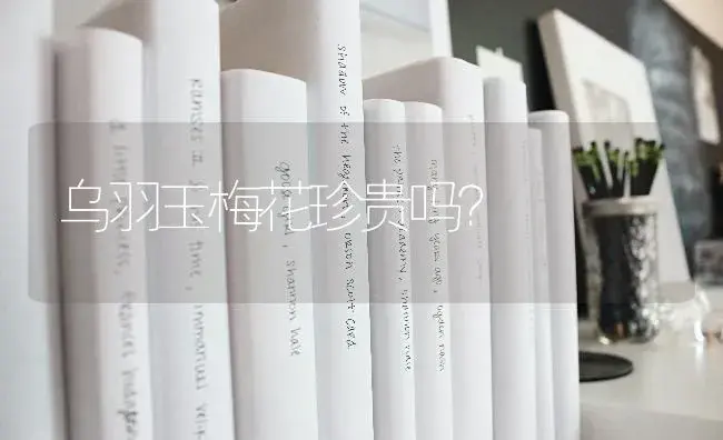 乌羽玉梅花珍贵吗？ | 多肉养殖