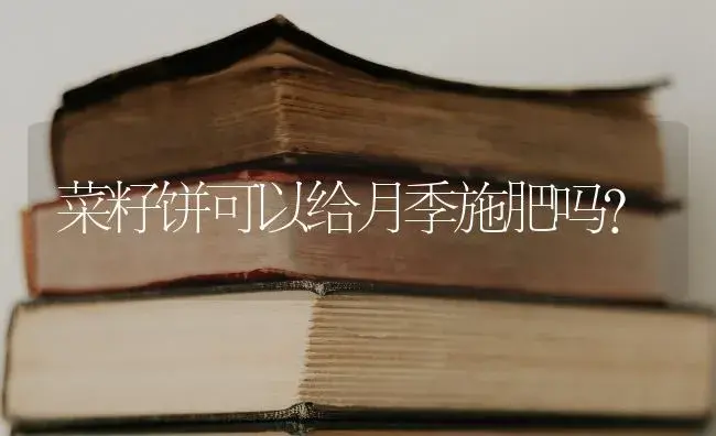 菜籽饼可以给月季施肥吗？ | 绿植常识