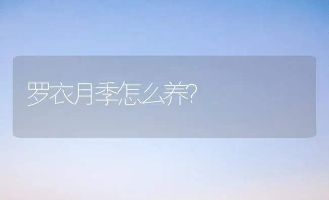 罗衣月季怎么养？ | 绿植常识