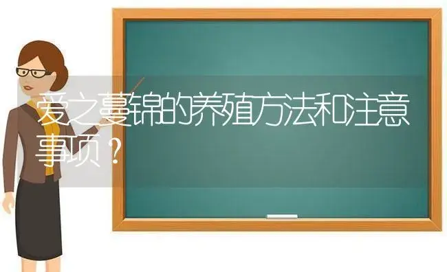 爱之蔓锦的养殖方法和注意事项？ | 多肉养殖