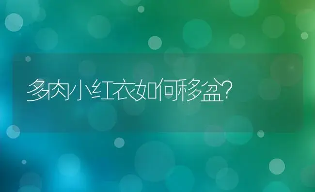 多肉小红衣如何移盆？ | 多肉养殖