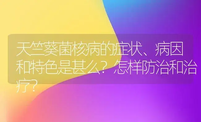 天竺葵菌核病的症状、病因和特色是甚么？怎样防治和治疗？ | 家庭养花