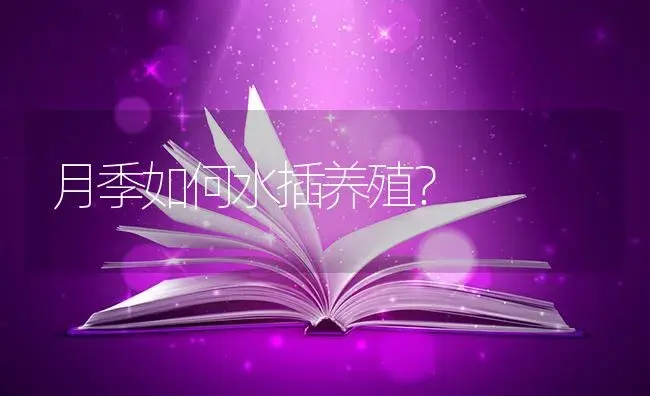 月季如何水插养殖？ | 特种种植