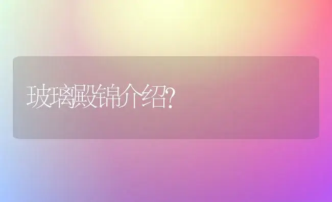 玻璃殿锦介绍？ | 多肉养殖