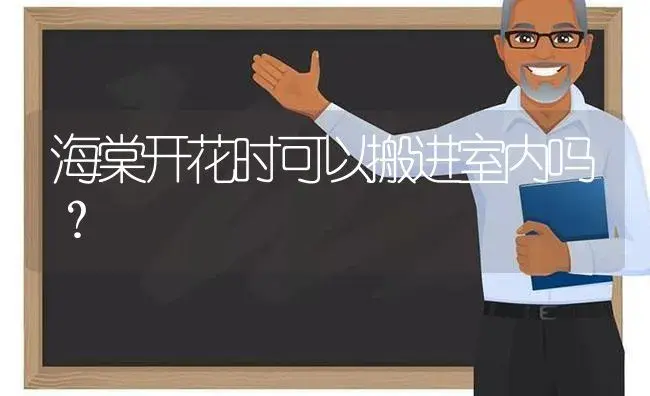 海棠开花时可以搬进室内吗？ | 绿植常识