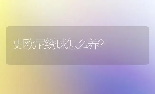 史欧尼绣球怎么养？ | 绿植常识