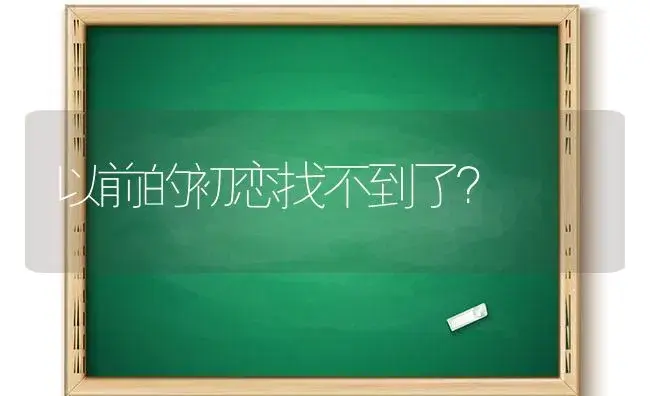 以前的初恋找不到了？ | 多肉养殖