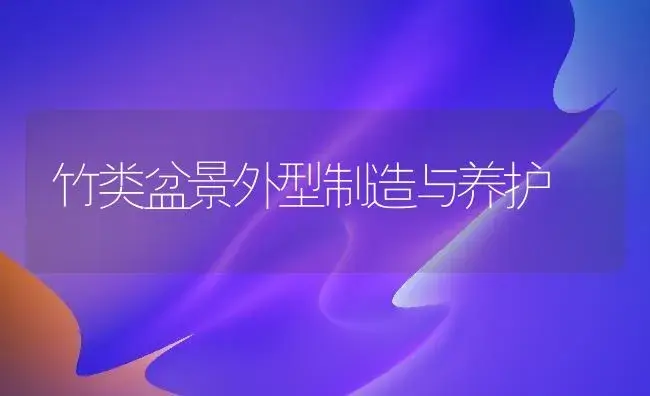 竹类盆景外型制造与养护 | 家庭养花