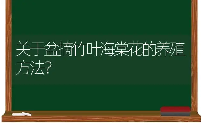 关于盆摘竹叶海棠花的养殖方法？ | 绿植常识