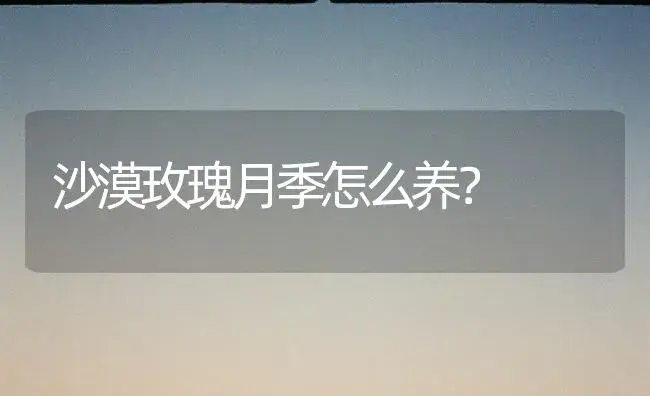 百合种球什么时候种？ | 绿植常识