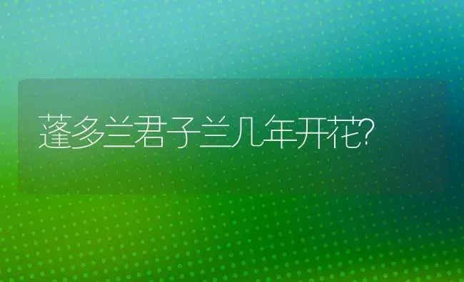 蓬多兰君子兰几年开花？ | 绿植常识