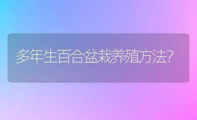 多年生百合盆栽养殖方法？ | 绿植常识