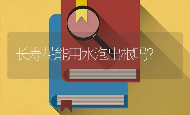 长寿花能用水泡出根吗？ | 多肉养殖