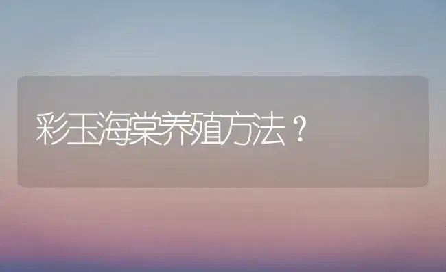 彩玉海棠养殖方法？ | 绿植常识