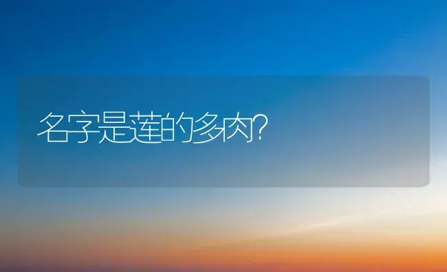 北方适合养长寿花吗？ | 多肉养殖