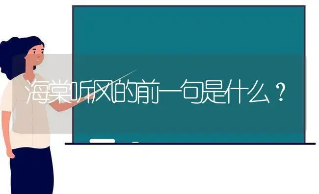 海棠听风的前一句是什么？ | 绿植常识