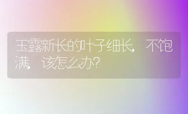 玉露新长的叶子细长,不饱满,该怎么办？ | 多肉养殖