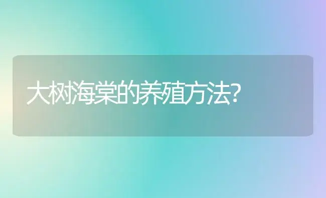 大树海棠的养殖方法？ | 绿植常识