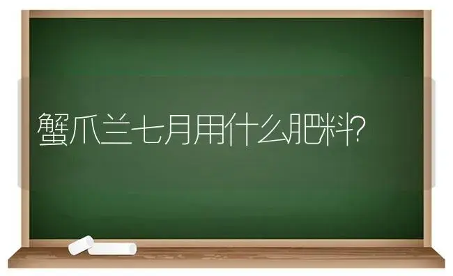 蟹爪兰七月用什么肥料？ | 多肉养殖