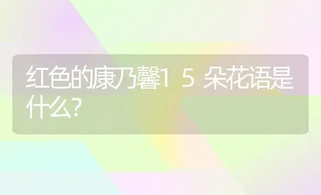 红色的康乃馨15朵花语是什么？ | 绿植常识