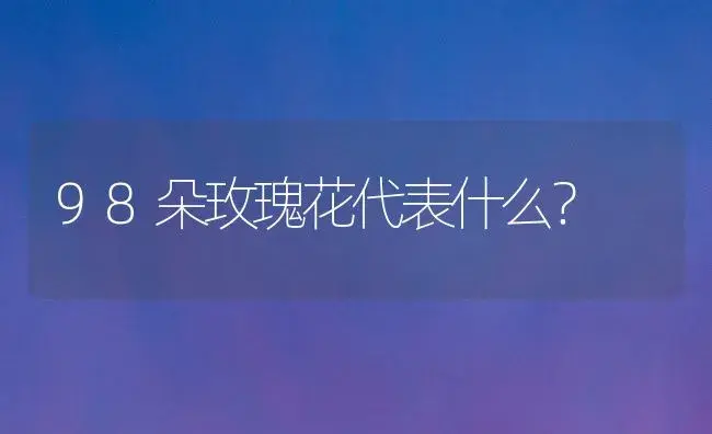 康乃馨是丛生还是单棵种植？ | 绿植常识