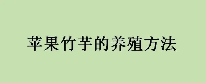 青苹果竹芋的养殖办法