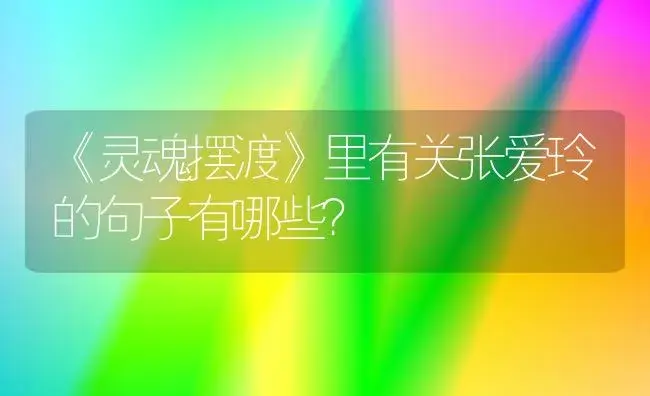 《灵魂摆渡》里有关张爱玲的句子有哪些？ | 绿植常识