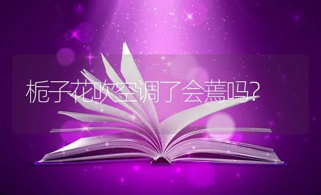 栀子花吹空调了会蔫吗？ | 绿植常识