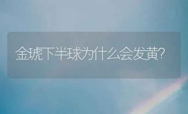 金琥下半球为什么会发黄？ | 多肉养殖