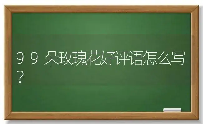 99朵玫瑰花好评语怎么写？ | 绿植常识