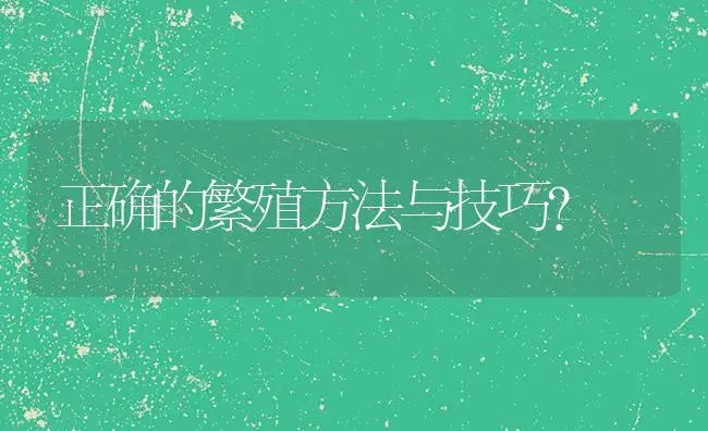 正确的繁殖方法与技巧？ | 多肉养殖