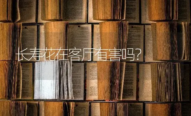 仙人球长白毛是什么原因？ | 多肉养殖