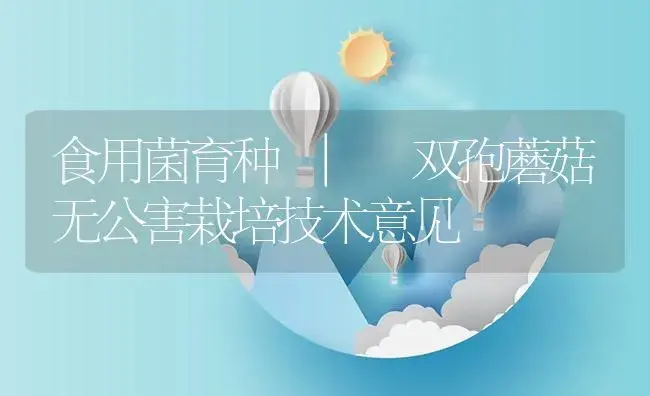 双孢蘑菇无公害栽培技术意见 | 菌菇种植