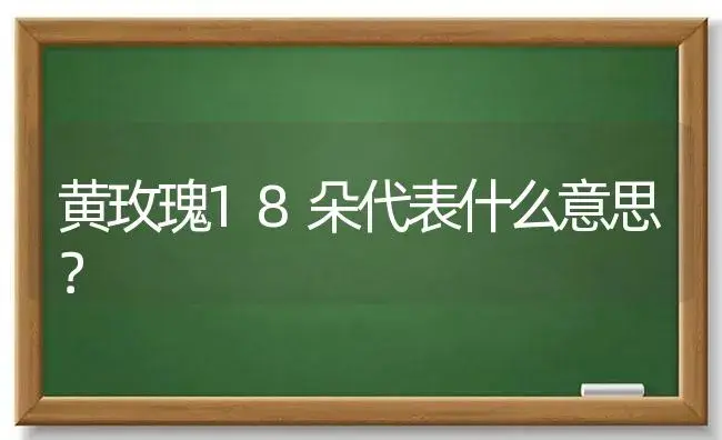 黄玫瑰18朵代表什么意思？ | 绿植常识