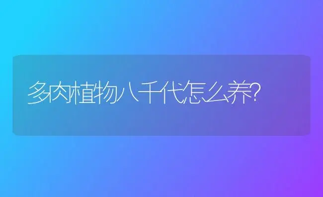 多肉植物八千代怎么养？ | 多肉养殖