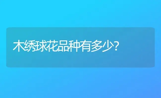 木绣球花品种有多少？ | 绿植常识