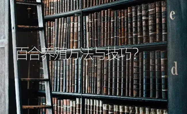 百合养殖方法与技巧？ | 绿植常识