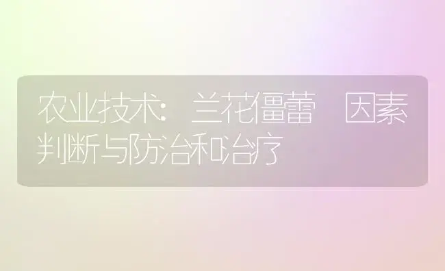 农业技术:兰花僵蕾 因素判断与防治和治疗 | 家庭养花