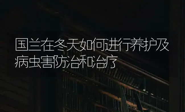 国兰在冬天如何进行养护及病虫害防治和治疗 | 特种种植