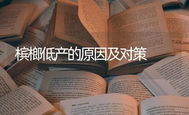 槟榔低产的原因及对策 | 果木种植